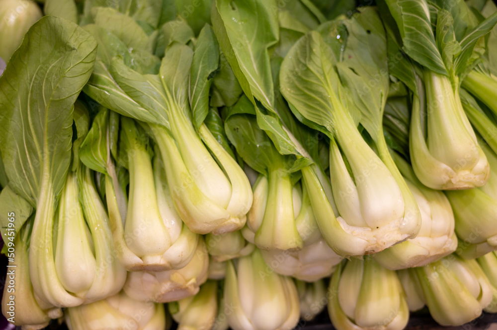 Chinese green cabbage pak choi on farmers market Chinese green cabbage pak choi on farmers market