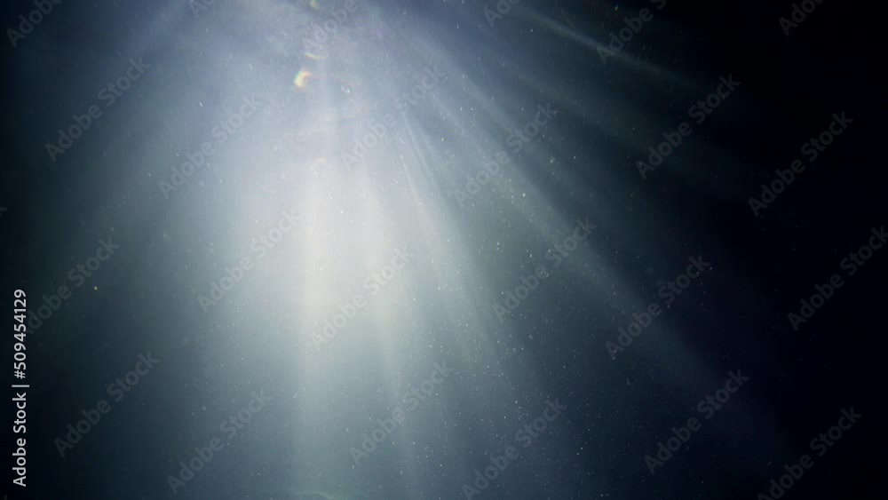 enigmatic underwater shot, view from bottom and dark depth of river or lake, mysterious sun rays