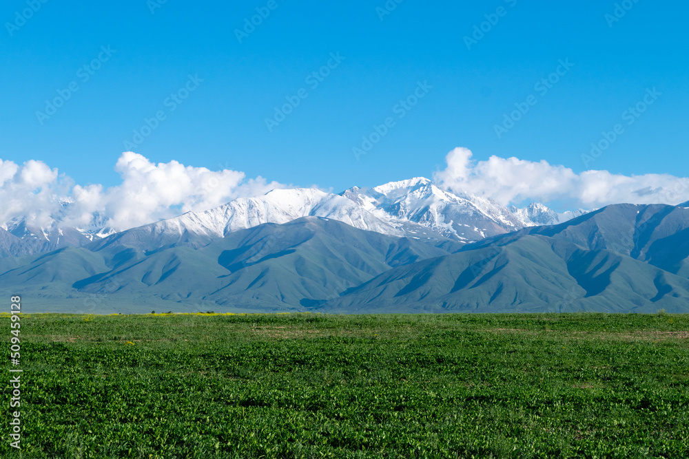 Fototapeta premium Big mountains with a green clearing. Mountains with a green field. A green glade with stunning mountains on the background