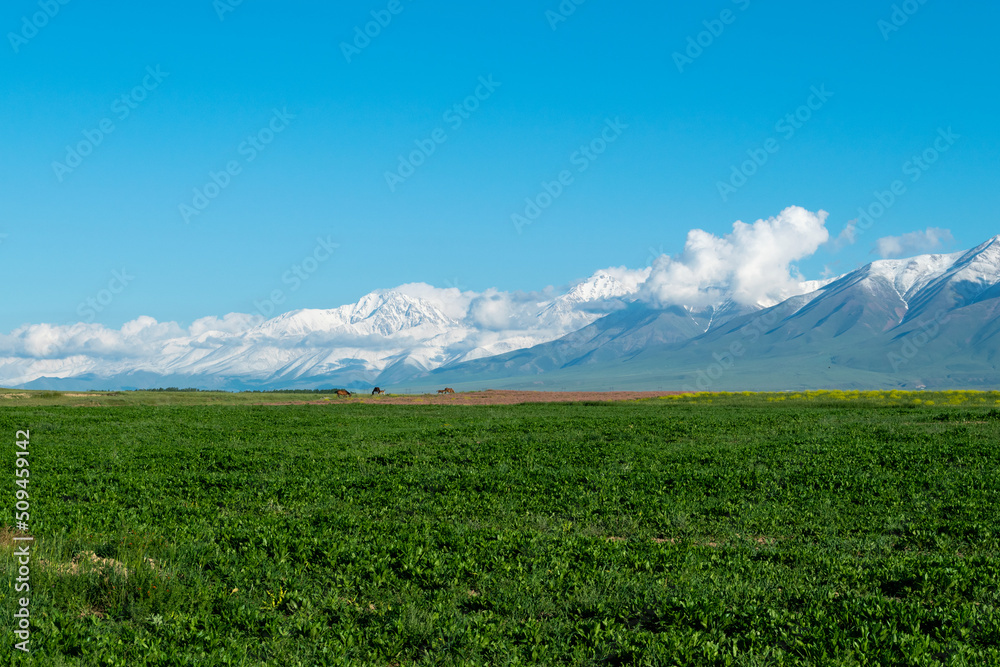 Big mountains with a green clearing. Mountains with a green field. A green glade with stunning mountains on the background