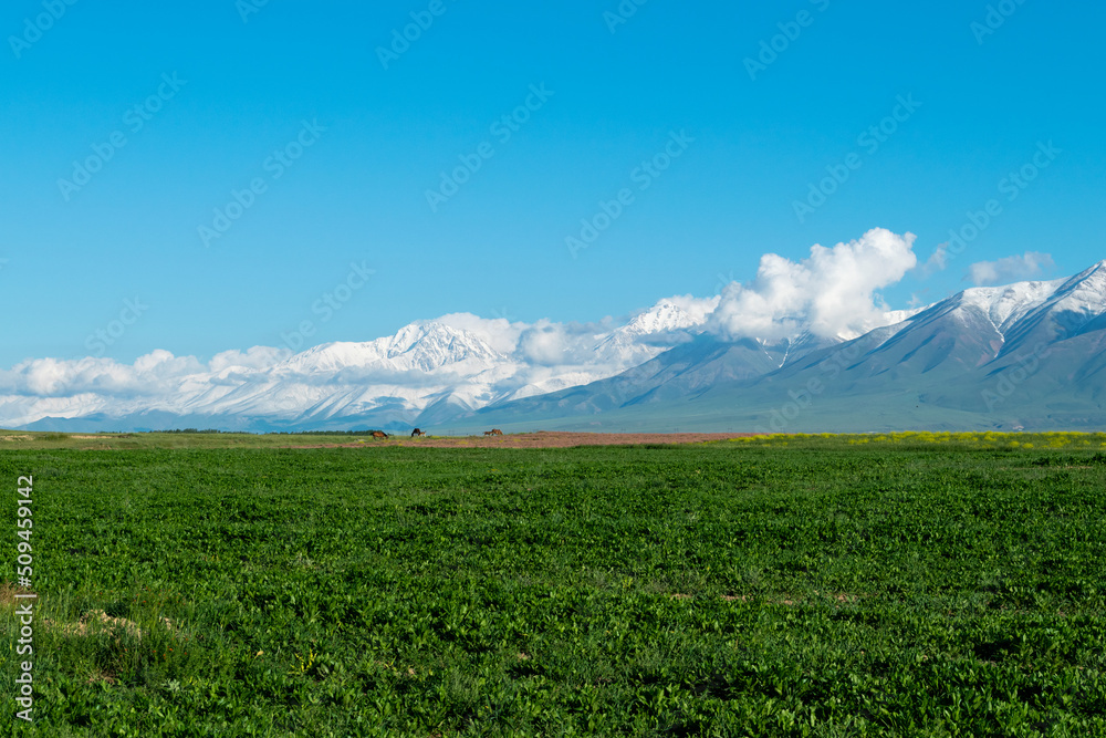Big mountains with a green clearing. Mountains with a green field. A green glade with stunning mountains on the background Big mountains with a green clearing. Mountains with a green field. A green glade with stunning mountains on the background