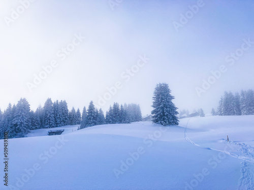 Sun shining in the foggy forest winter Landscape, Switzerland © Claudia Egger
