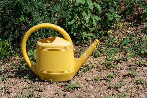 Regadora grande amarilla de plástico en huerto, regar y cuidar las plantas de jardçin