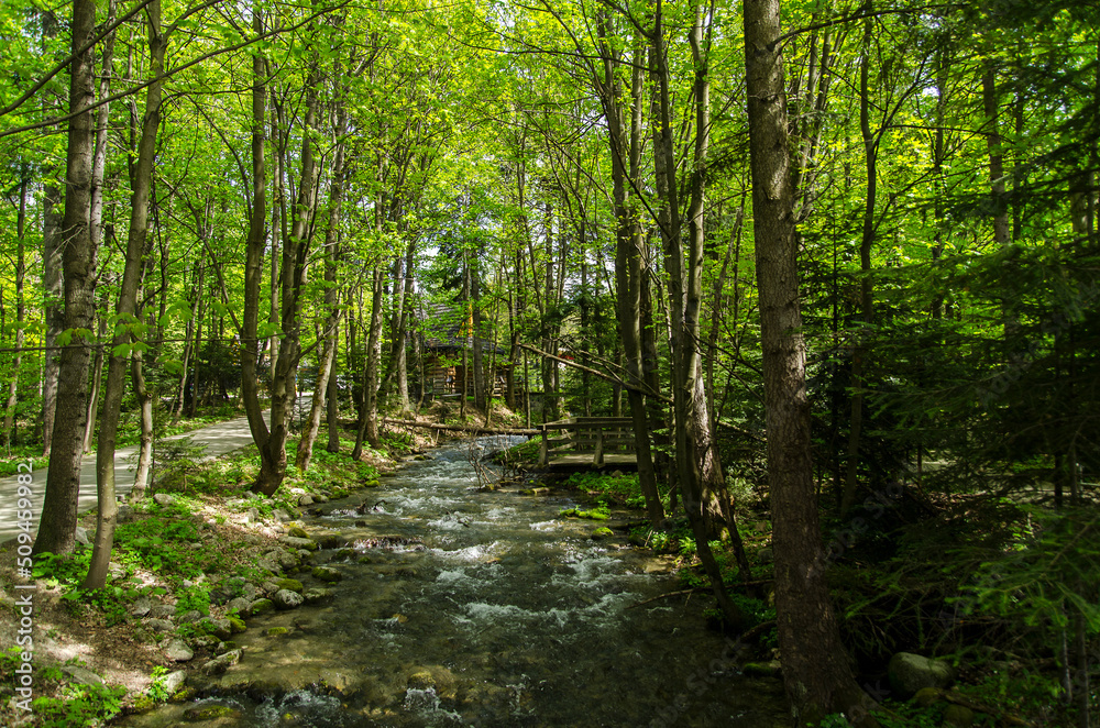 Obraz premium Strumień 