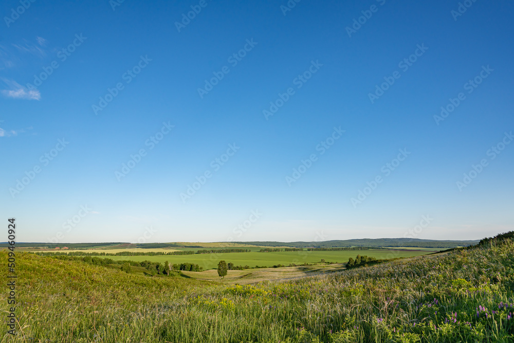 field and blue sky field and blue sky