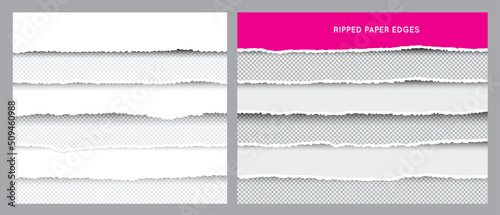 Double Set of Ripped and Torn Paper Stripes. Texture of Paper with Damaged Edge Isolated on Transparent background.