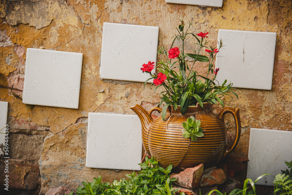 Old teapot reused as a flower pot. Eco-friendly garden design