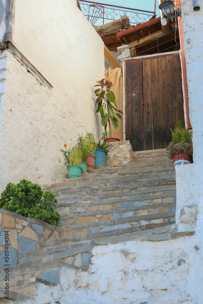 Fototapeta premium typical streets and traditional houses with nice doors and flowers in the city of Berat, Albania