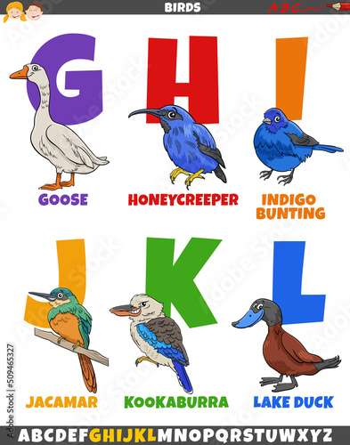 educational alphabet set with cartoon birds animal characters photo