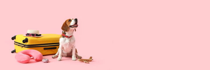 Cute Beagle dog with suitcase and travel accessories on pink background with space for text