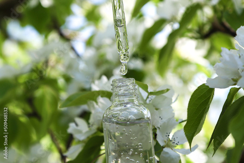 The transparent glass bottle container and dropper with a drop of skincare serum among the beautiful white flowers photo