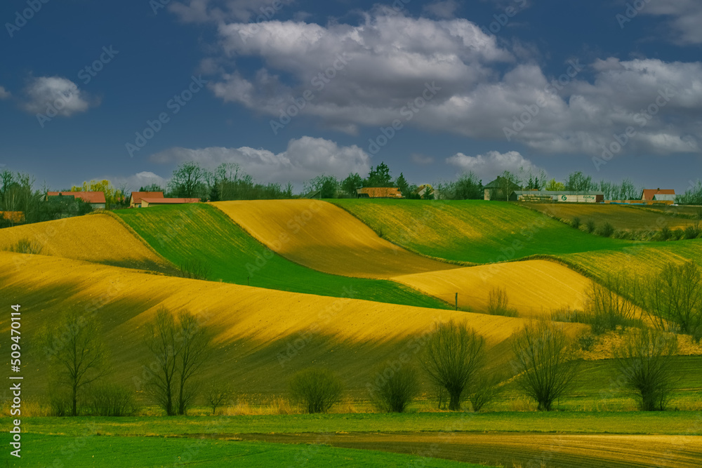 Obraz premium Ponidzie, Polska