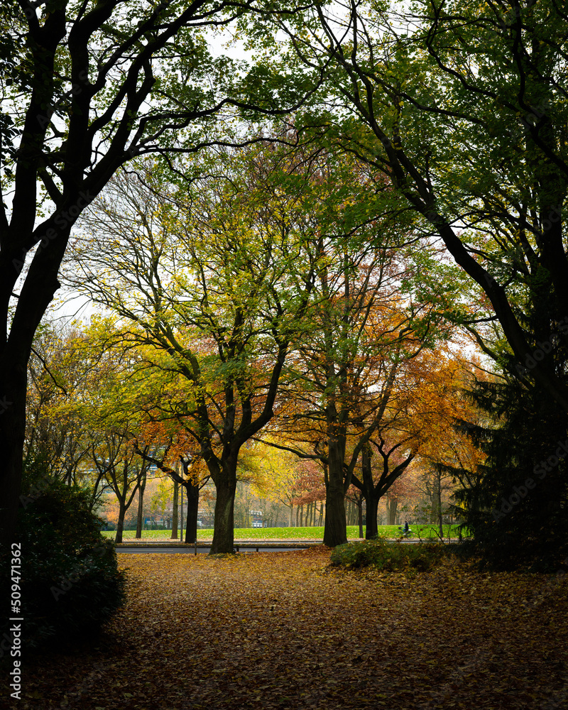 Fototapeta premium Stadtpark Hamburg 3