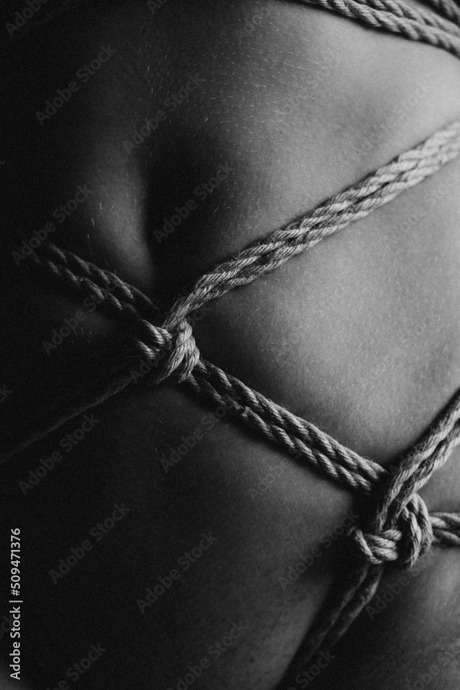Breast Shibari Breast Shibari
