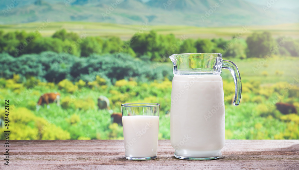 Fresh milk and spring time. Glass jug and glass of organic milk on wooden table. Cows in the meadow in the background. Healthy eating concept. Fresh milk and spring time. Glass jug and glass of organic milk on wooden table. Cows in the meadow in the background. Healthy eating concept.