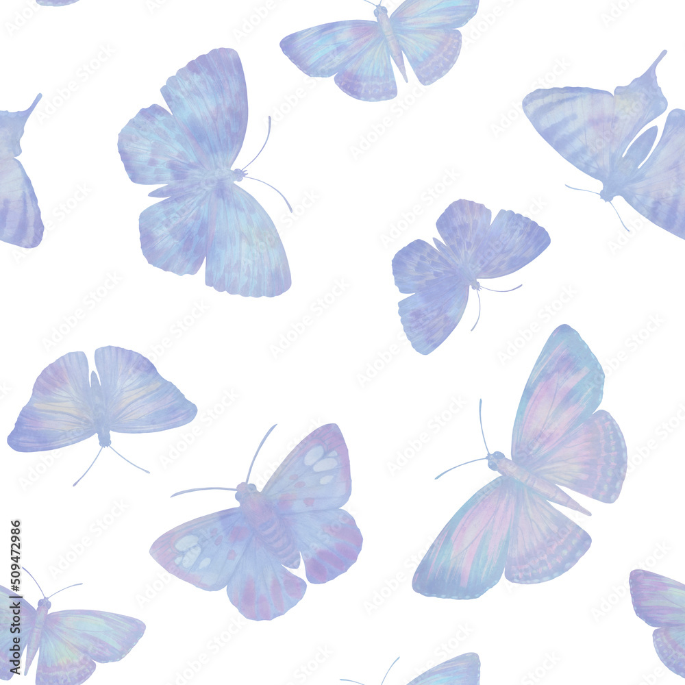 Obraz premium Set of delicate butterflies collected in a seamless pattern isolated on a white background.