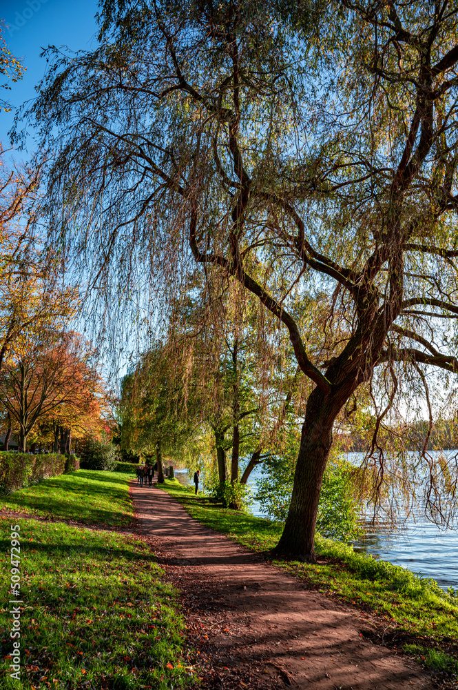 Alster in Autumn 2