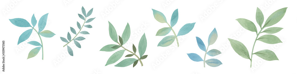 Set of twigs isolated on white background. Watercolor, green leaves for design.