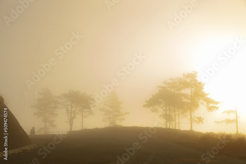 The sun shines through the fog in the early morning