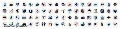 animal head filled icons set. glyph icons such as bulrush, shell, fennec, peacock, crack, relics, bull skull, bison, magic lamp icon.