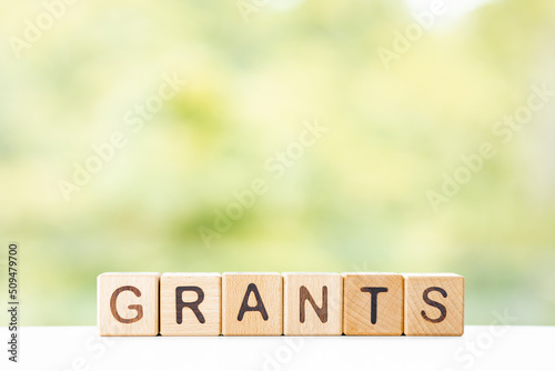 Grants - word is written on wooden cubes on a green summer background. Close-up of wooden elements. photo