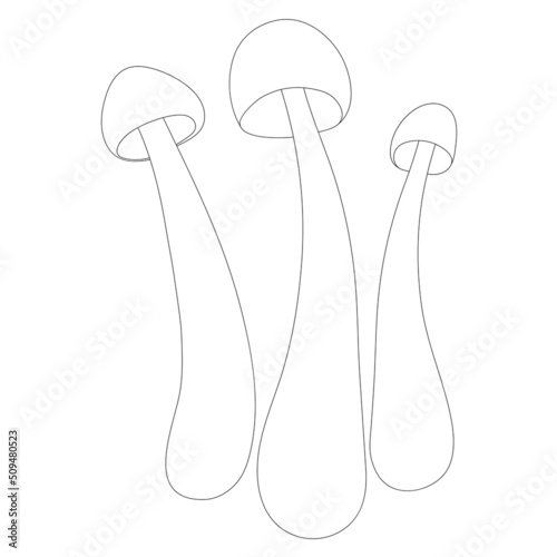 Set of mushrooms vector simple illustration isolated on white background. Outline hand drawn sketched version. Vector mycology. Natural healthy fungus, autumn design.
