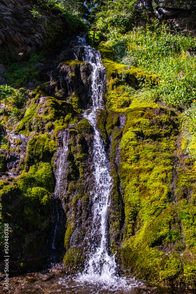 Obraz premium waterfall in the forest