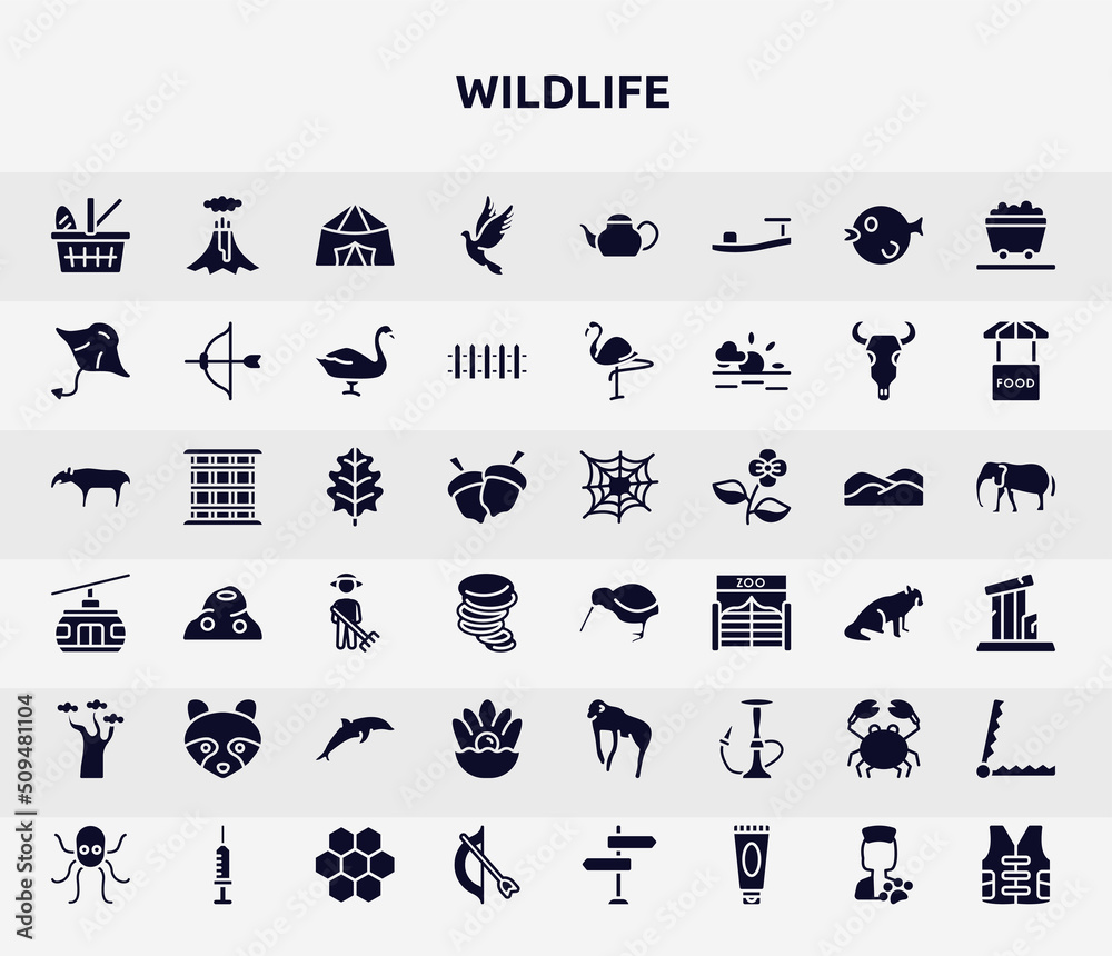 wildlife filled icons set. glyph icons such as picnic basket, dove, manta ray, oak leaf, kiwi, racoon, pearl, crab, bow and arrow icon.