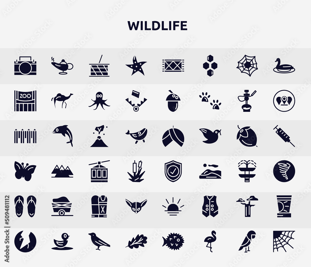 wildlife filled icons set. glyph icons such as animal aid, starfish, zoo, volcano, guard, wagon, fennec, baobab, oak leaf icon.