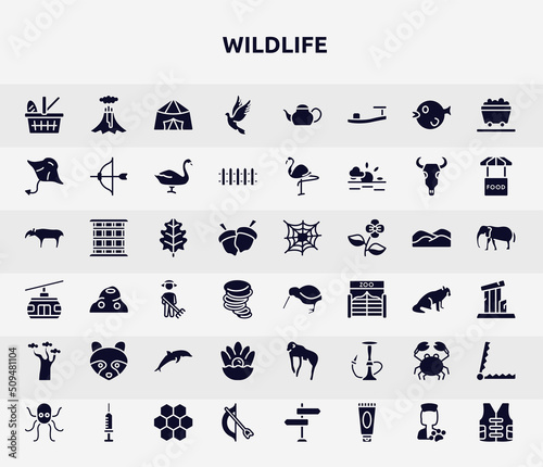 wildlife filled icons set. glyph icons such as picnic basket  dove  manta ray  oak leaf  kiwi  racoon  pearl  crab  bow and arrow icon.