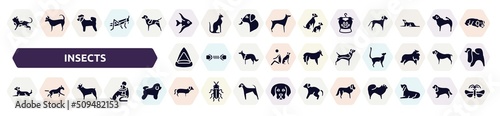 insects filled icons set. glyph icons such as toyger cat, angelfish, pet clothing, cat playhouse, beagle, dog lying, french bulldog, dachshund, st bernard icon.