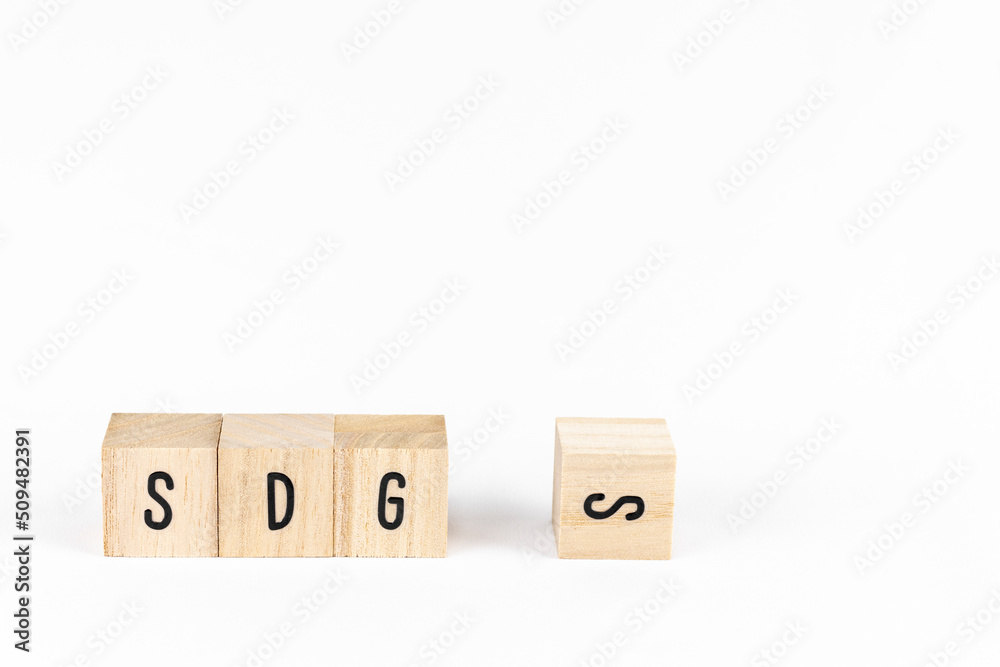 木のブロックのSDGs。SDGsのイメージ 木のブロックのSDGs。SDGsのイメージ