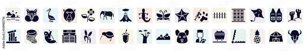 animal head filled icons set. glyph icons such as sun, pelican, elephants, starfish, cage, tornado, zoo, acorn, wagon icon. animal head filled icons set. glyph icons such as sun, pelican, elephants, starfish, cage, tornado, zoo, acorn, wagon icon.