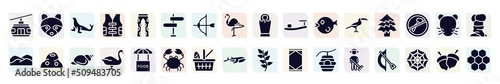 wildlife filled icons set. glyph icons such as cable car, sea lion, direction, sandals, spruce, anthill, swan, picnic basket, cleaner icon.