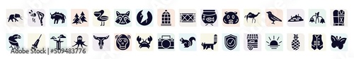 in the zoo filled icons set. glyph icons such as elephants, bison, racoon, aquarium, crow, vaccine, octopus, crab, food stand icon.