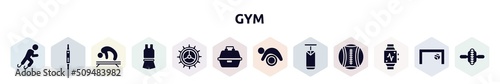 gym filled icons set. glyph icons such as paralympics, fitness watch, gymnastics, sport wear, crank, tackle box, pilates, boxing bag, pulsometer icon. photo