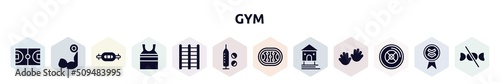 gym filled icons set. glyph icons such as basketball field, biceps curl, swiss bar, tanktop, trellis, doping, hockey arena, stilt house, weight plates icon.