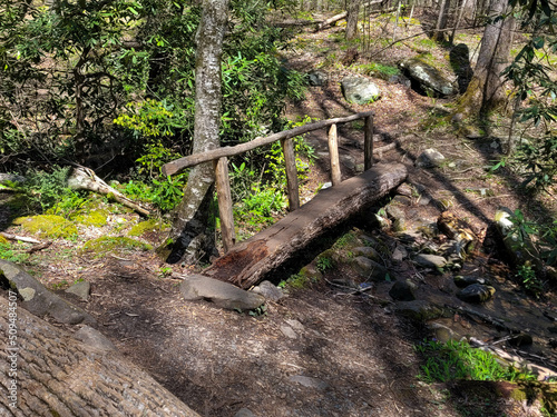 Old log bridge in the Great Smoky Moutains