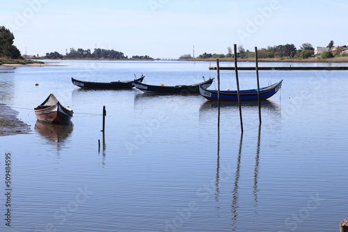 Fotografie Barcos da ria de Aveiro