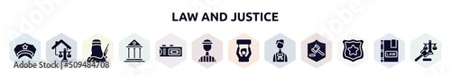 law and justice filled icons set. glyph icons such as police hat, real estate law, , court, recorder, prisioner, civil rights, advocate, police badge icon.