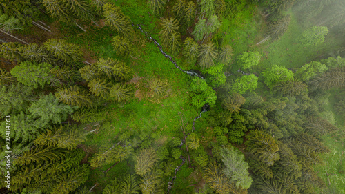 4k Waldfotografie - Waldfotos DJI Mavic 3 