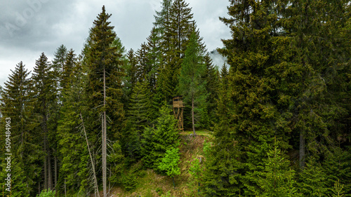 4k Waldfotografie - Waldfotos DJI Mavic 3 