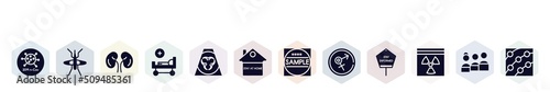 filled icons set. glyph icons such as 2019-ncov, mosquito, kidney, hospital bed, contaminated, stay at home, sample, sexual transmitted disease, hazmat icon.