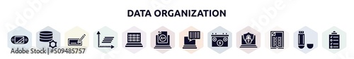 data organization filled icons set. glyph icons such as handheld console, database management, edit text, frequency graph, binary code, grades, subtitles, power source,  icon.