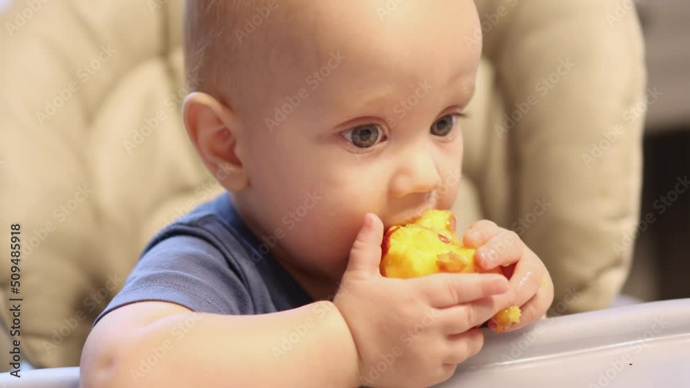 portrait eating baby fruit at home.healthy food, lunch time. kid child biting peach, holding it in hand. baby making funny face tasting sweet fruit, eating pieces, sitting at feeding chair table. portrait eating baby fruit at home.healthy food, lunch time. kid child biting peach, holding it in hand. baby making funny face tasting sweet fruit, eating pieces, sitting at feeding chair table.