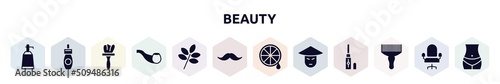 beauty filled icons set. glyph icons such as hairtonic, remover, tint, smoking pipe, herbs, moustaches, lemon juice, asian, afro pick icon.