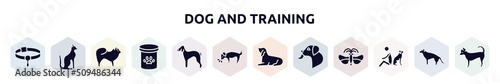 dog and training filled icons set. glyph icons such as pet collar, egyptian cat, chow chow, pet food, bedlington terrier, dog smelling dog, bas houd, licking, and man seating icon.
