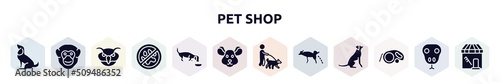 pet shop filled icons set. glyph icons such as sitting dog, chimpanzee head, owl head, no animals, dog eating, mouse head, dog walker, urinating, extending leads icon.