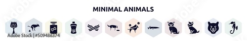 minimal animals filled icons set. glyph icons such as grooming brush, dog poo, honey treat, shampoo, jerky treats, feeding the dog, washing the dog, big pike, cone of shame icon.