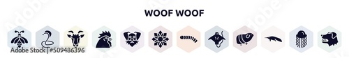 woof woof filled icons set. glyph icons such as big bee, poisonous cobra, goat head, chiken head, funny dog head, angular flower, silkworm, stingray with long tail, sitting anteater icon.